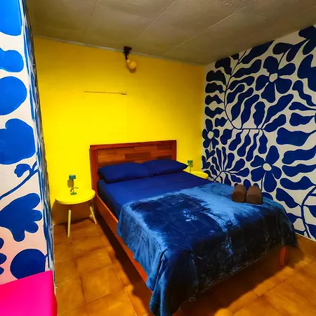 Chillout Hostel Barrio Escalante-3